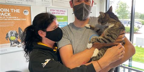 Owners Reunited With Cat Which Went Missing 10 Years Ago Indy100