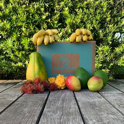 Taste Of Paradise 16 Lb Box Tropical Fruit Box Touch Of Modern