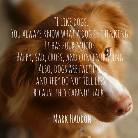 Sad Dog Quotes We Need Fun