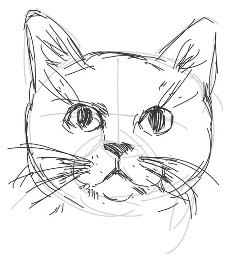 Cat To Draw Simple Cat Meme Stock Pictures And Photos