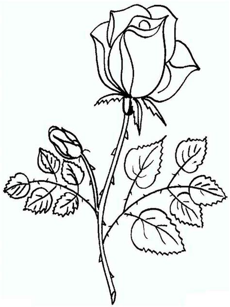 Rose Flower Coloring Pages Printable Roses Flower Coloring Pages