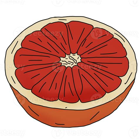 Slice Of Grapefruit 26827972 Png