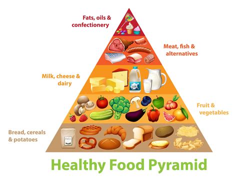 Piramida żywieniowa opis i charakterystyka Zdrowy Styl Zycia pl