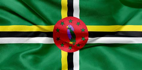 Flag Of Dominica Photo 8268 Motosha Free Stock Photos