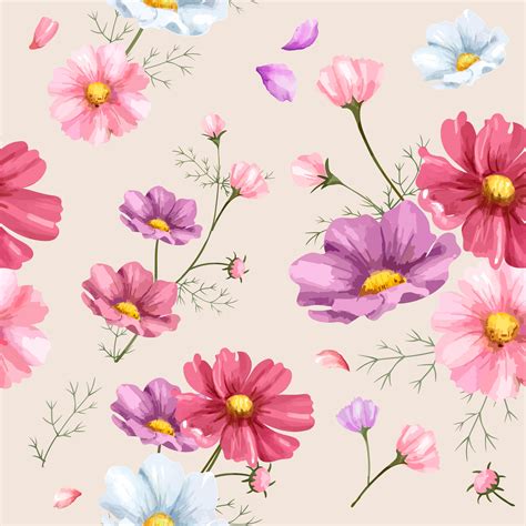 Hand Drawn Cosmos Flower Pattern Download Free Vectors Clipart