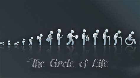 The Circle Of Life Youtube