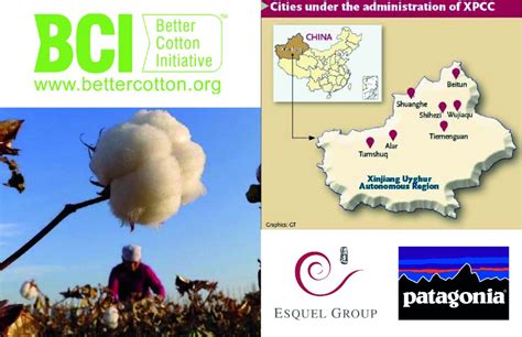Xinjiang Xpcc And The Sham Of ‘sustainable Cotton Apparel Insider