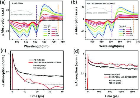 Transient Absorption Measurements With A 400 Nm Pump Light At Different