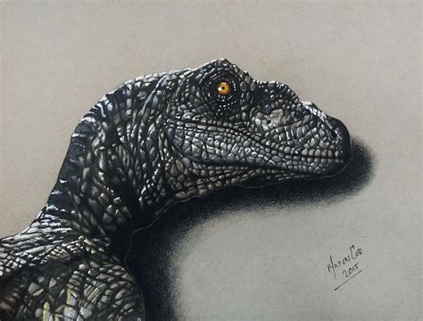 Velociraptor From Jurassic World Realistic Drawing Realistic Drawings Epic Drawings