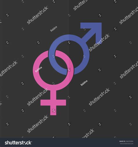 Male Female Sex Symbol Vector Icon Stock Vector Royalty Free 296355890 Shutterstock