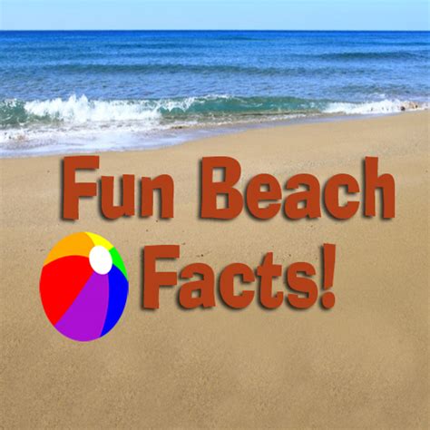 Fun Facts About Beaches