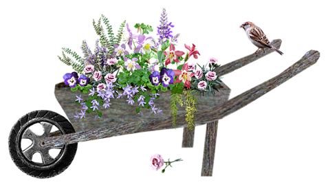 300 Free Wheelbarrows And Gardening Images