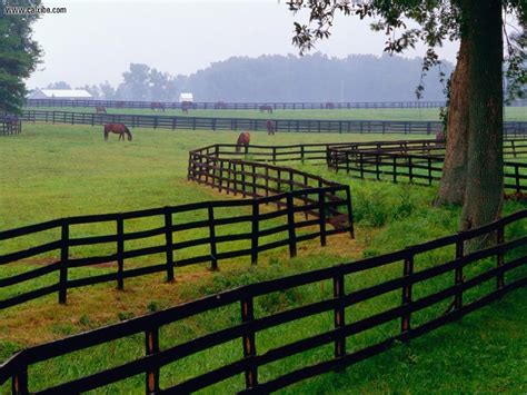 Nature Horse Farm Goshen Kentucky Picture Nr 10275