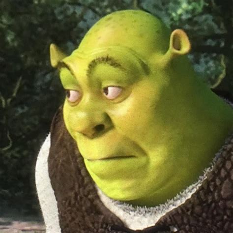 Shreks And I Oop Face Шрек Мемы лица Смешные рожи
