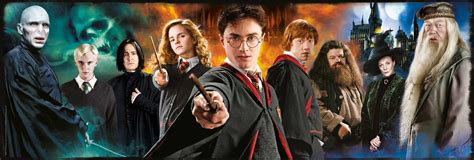 Or even a specific puzzle type? Clementoni Harry Potter Panorama Jigsaw Puzzle (1000 ...