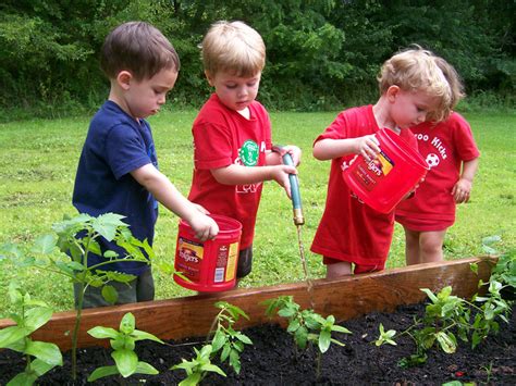 Learning About Gardening For Preschoolers Nanik 81