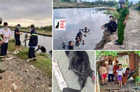 Vietnam Victim Blamed For Drowned Dog Thief Fight Dog Meat