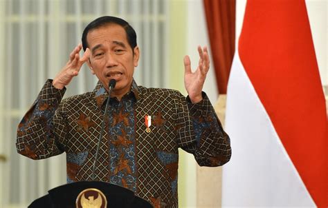 Survei 713 Persen Masyarakat Puas Dengan Kinerja Jokowi