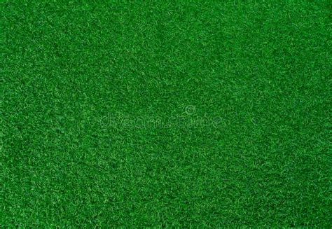 Green Grass Texture Background Top View Of Bright Grass Garden Stock