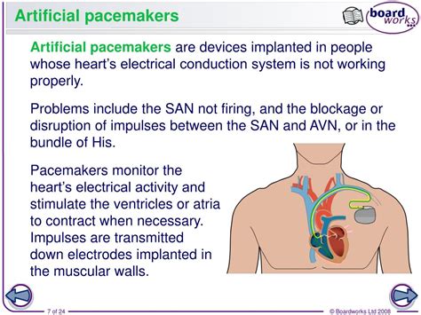 Ppt The Cardiac Cycle Powerpoint Presentation Free Download Id2000734