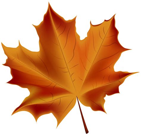 Free Autumn Leaf Clipart Download Free Autumn Leaf Clipart Png Images