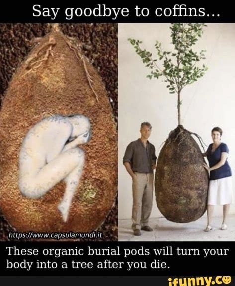 Say Goodbye To Coffins These Organic Burial Pods Will Turn Your Body Into A Tree After You Die