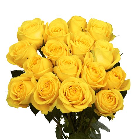 Premium Big Yellow Roses | GlobalRose