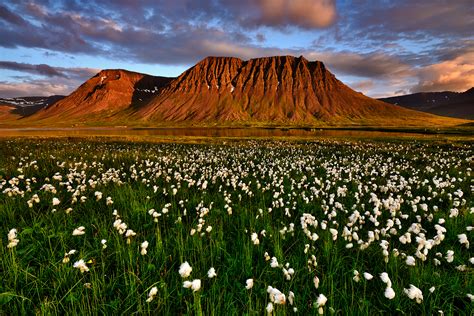 West Fjords Arctic Photo Iceland Icelandic Landscape Photography