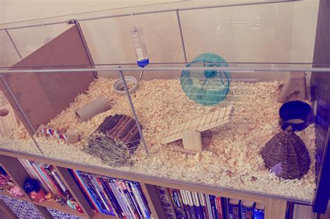 12 Diy Hamster Cage Projects To Completely Transform Your Pets Home
