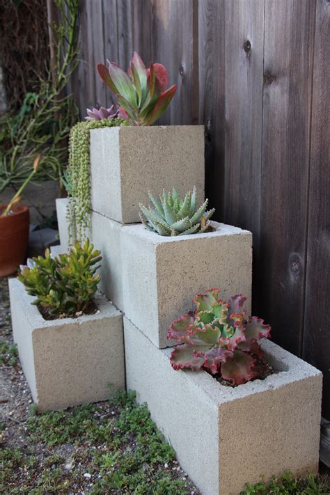 We did not find results for: Seaside Succulents: A Garden Tour — Needles + Leaves