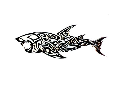 15 Awesome Tribal Shark Tattoos