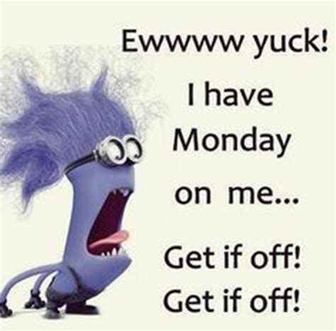 Happy Monday Funny Monday Memes Monday Humor Quotes Monday Humor Gambaran