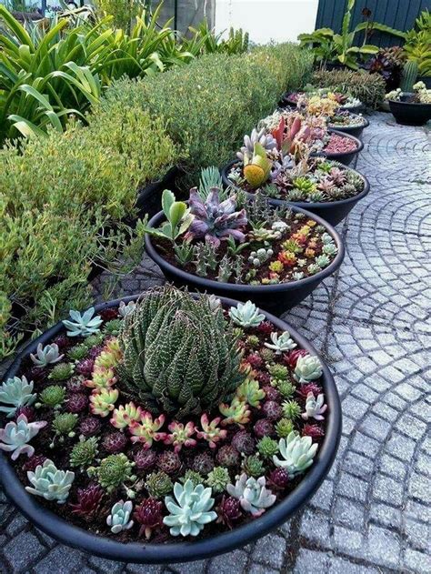 36 Awesome Succulent Front Yard Landscaping Ideas Succulent Garden