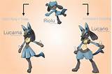 On Which Level Does Riolu Evolve Pictures
