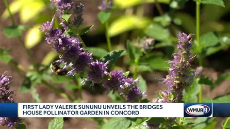 First Lady Unveils Bridges House Pollinator Garden