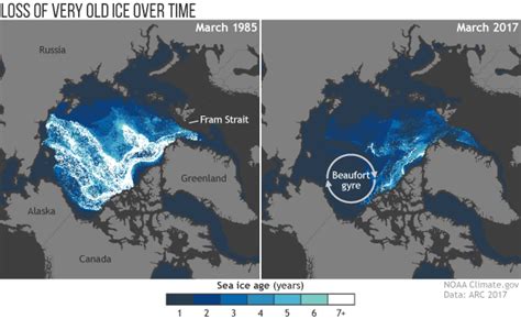 2017 Arctic Report Card Arctic Sea Ice Keeps Getting Younger And