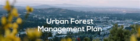 Urban Forest Management Plan Lets Chat Langford