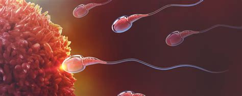 Sperm DNA Hasarı Doç Dr Çağlar Helvacıoğlu