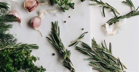 Photo Of Different Herbs · Free Stock Photo