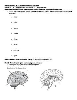 Time problems for grade 2 grid chart paper my home tutor fraction word problems grade 7 worksheets activities to teach addition grade 8 mathematics football math problems times tables games. Biology EOC Review Packet by Kelly Holder | Teachers Pay ...