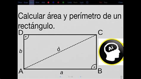 Calcular Perimetro Y Area De Un Rectangulo Printable Templates Free