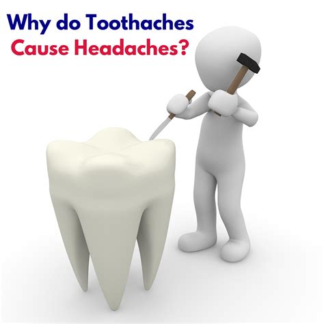 Why Do Toothaches Cause Headaches