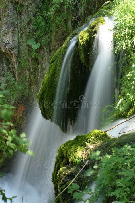 4116 Waterfall Over Moss Photos Free And Royalty Free Stock Photos