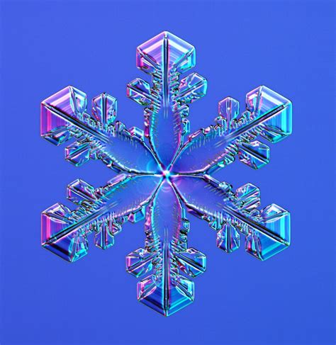 Real Snowflakes Under Microscope