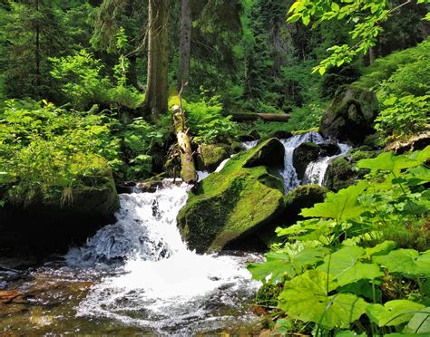 Kudy Z Nudy Objevte 10 Nejkrásnějších Turistických Stezek Česka