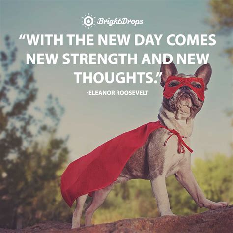46 Good Morning Quotes To Inspire And Motivate You