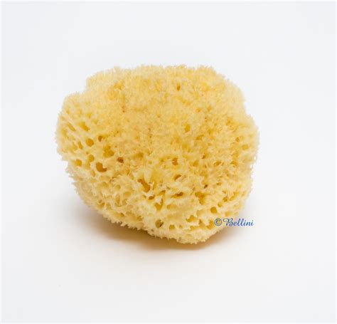 Bellini Natural Honeycomb Bath Sponge Mighty Baby Ph