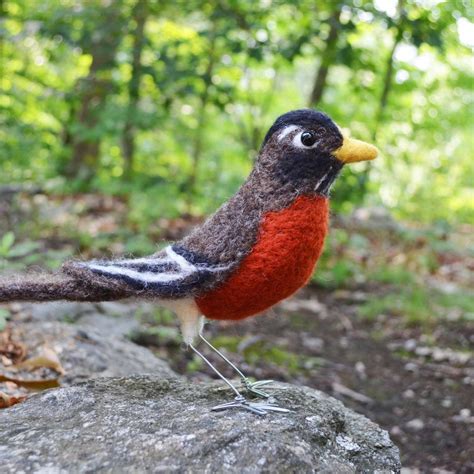 Mr American Robin Needle Felted Bird Art Sculpture Etsy