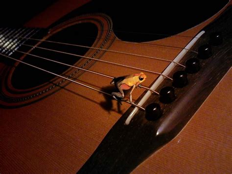Spanish Guitar Wallpapers Group 69