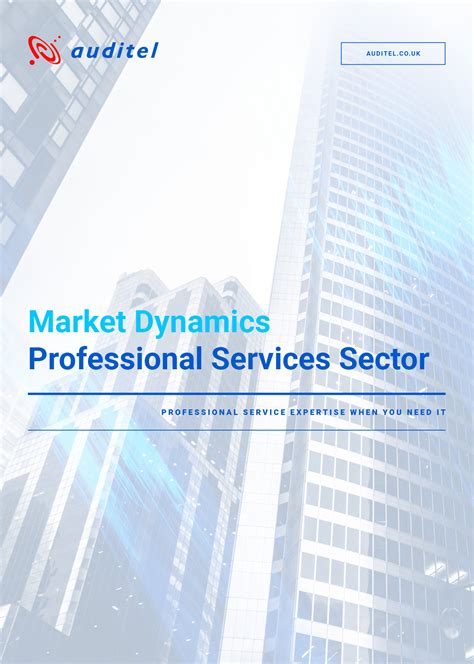 Market Dynamics Professional Services Auditel Uk Limited